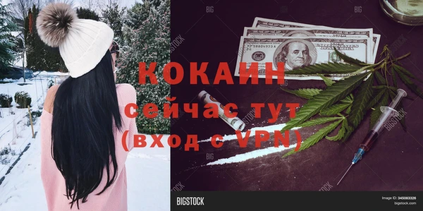 дмт Армянск