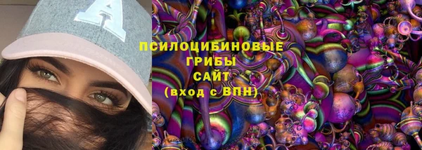 дмт Армянск